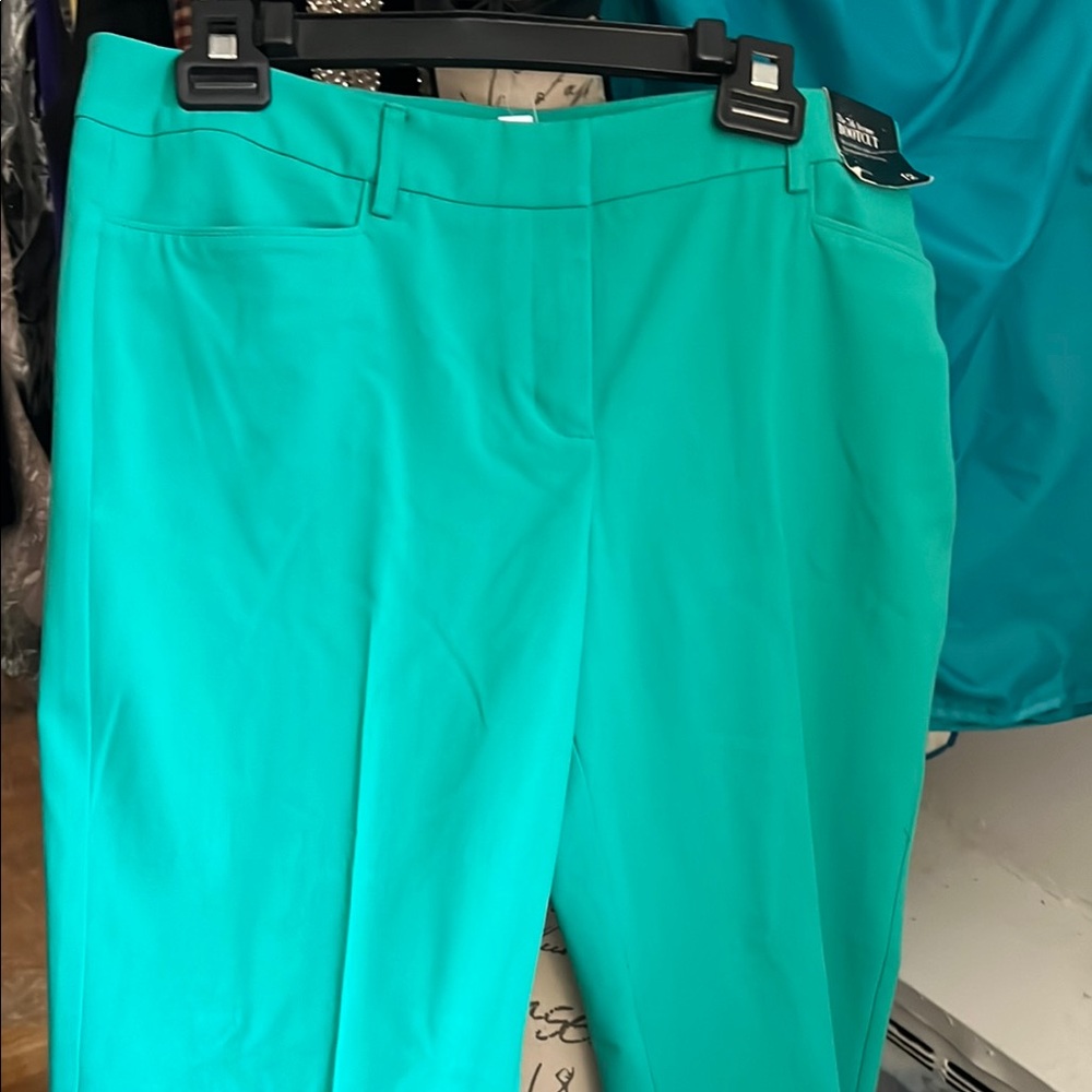 Women's Teal Pants